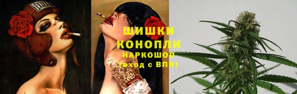 ПСИЛОЦИБИНОВЫЕ ГРИБЫ Алзамай
