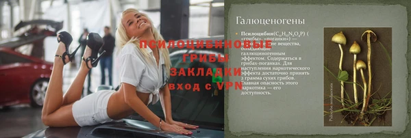 ПСИЛОЦИБИНОВЫЕ ГРИБЫ Алзамай