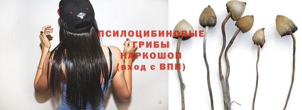 винт Алексин
