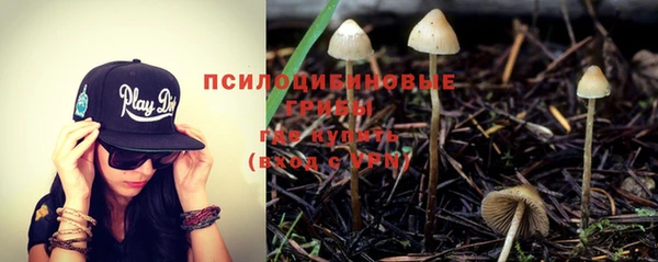 ПСИЛОЦИБИНОВЫЕ ГРИБЫ Алзамай