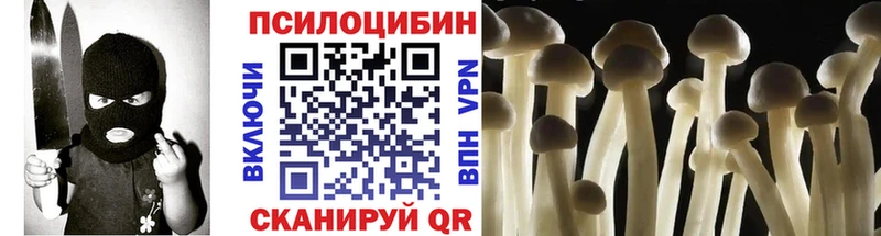 Галлюциногенные грибы Psilocybine cubensis  Мураши 